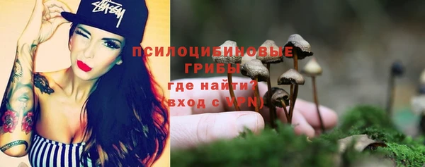 круглые Алзамай