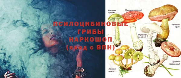 круглые Алзамай