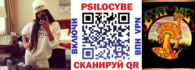 Псилоцибиновые грибы Cubensis Ачинск