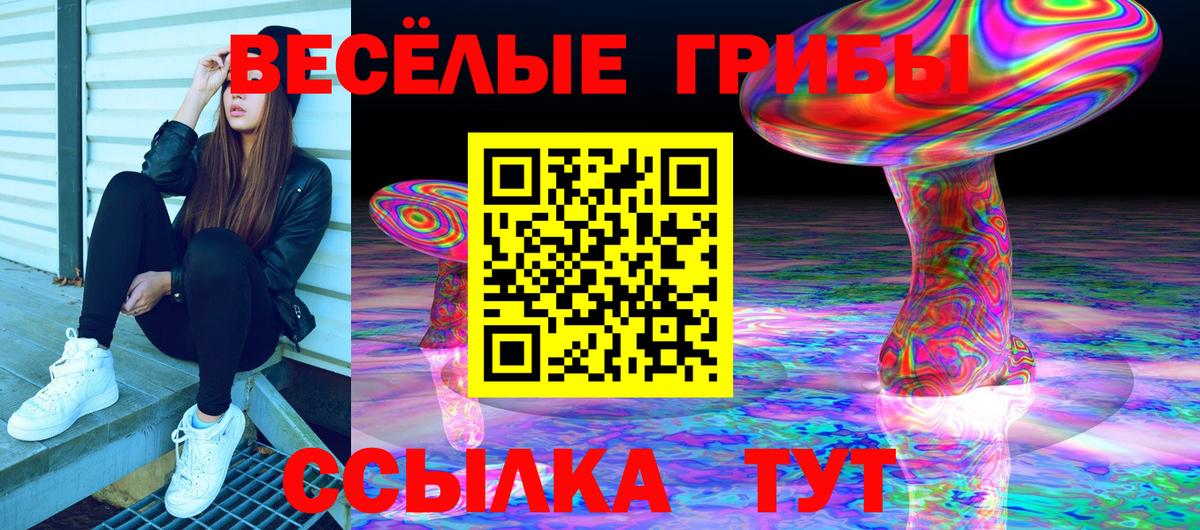 Псилоцибиновые грибы Magic Shrooms Ачинск